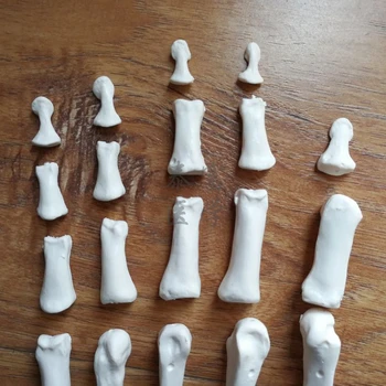 Модель костей кисти и стопы человека, активность лучезапястного сустава, имитация разбросанных костей, пластиковая кость стопы, таранная кость пальца стопы, пяточная кость