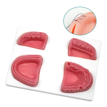 Медицинский набор для хирургического обучения наложению кожных швов, Модуль для обучения наложению швов на зубы, силиконовые стоматологические принадлежности